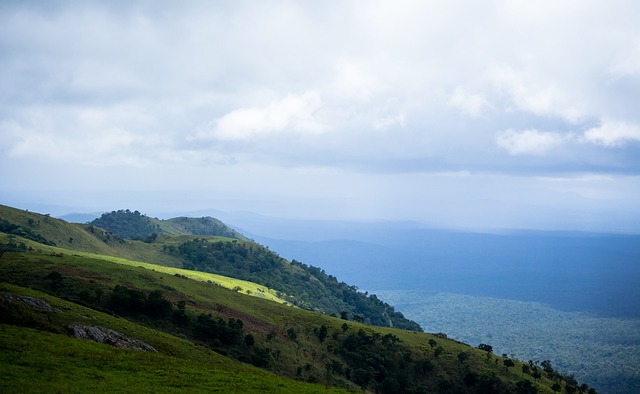 感的表达 感的表达