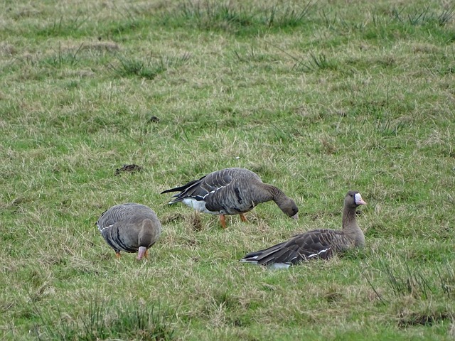 在竞争激烈 在竞争激烈