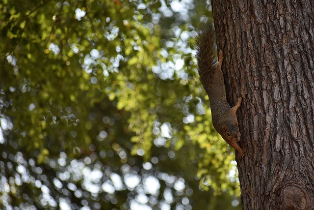 明智选择 明智选择