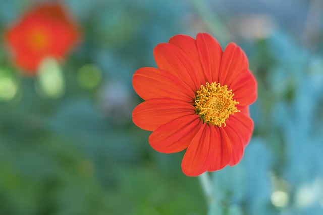 万先生的蜕 万先生的蜕