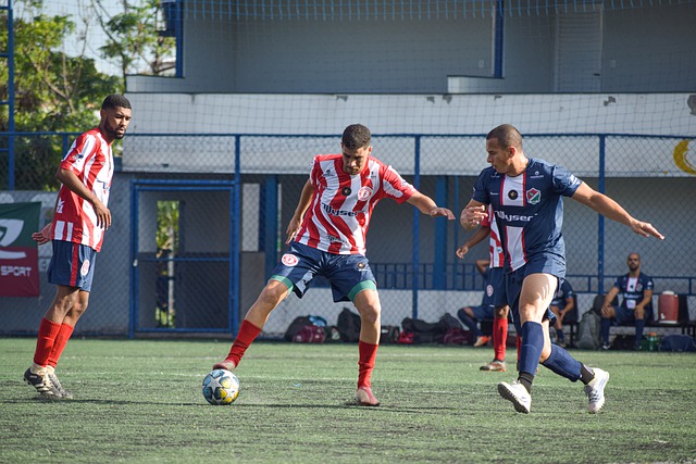 各领域的外 各领域的外