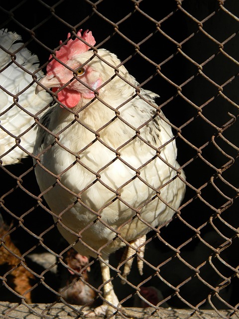 烈的环境 烈的环境