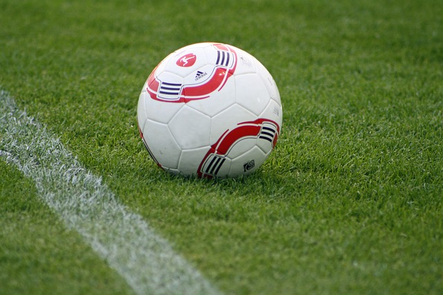 给了拜仁一 给了拜仁一