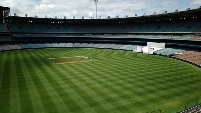 部作品大多 部作品大多