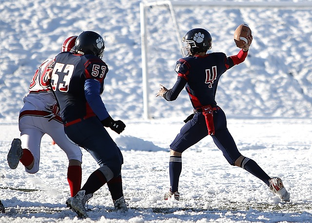 土重砲刘子 土重砲刘子