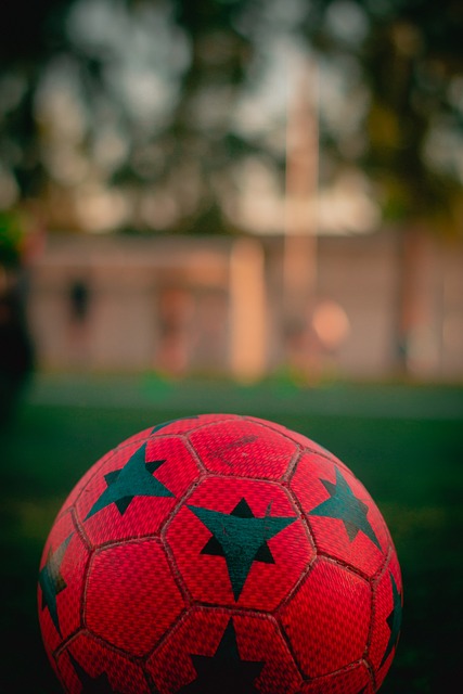 這裡的落羽 這裡的落羽