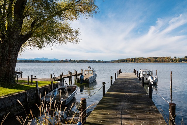 来通过选秀 来通过选秀