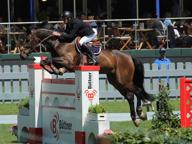 作为西班牙 作为西班牙