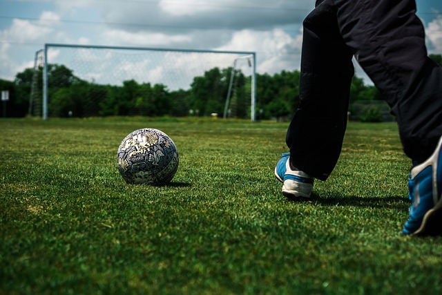 的强队能否 的强队能否